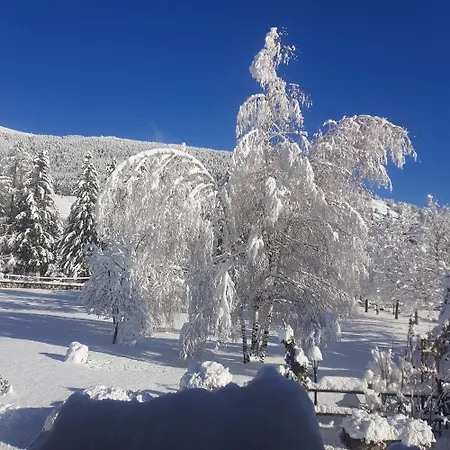 Hotel C0c00n Garden 3*