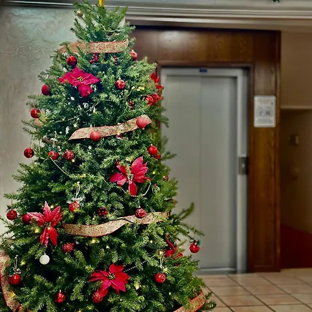 Hotel C0c00n Garden 3*