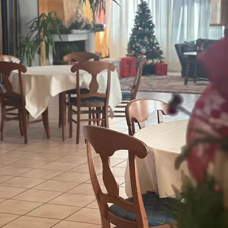 Hotel C0c00n Garden 3*