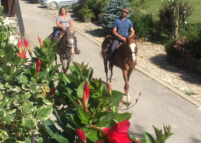 C0c00n Garden Pescasseroli