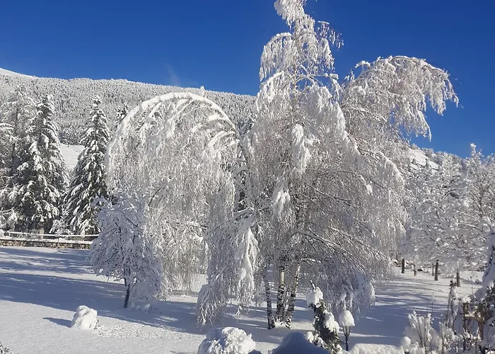 Hotel C0c00n Garden 3*