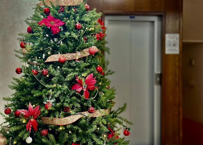 Hotel C0c00n Garden 3*